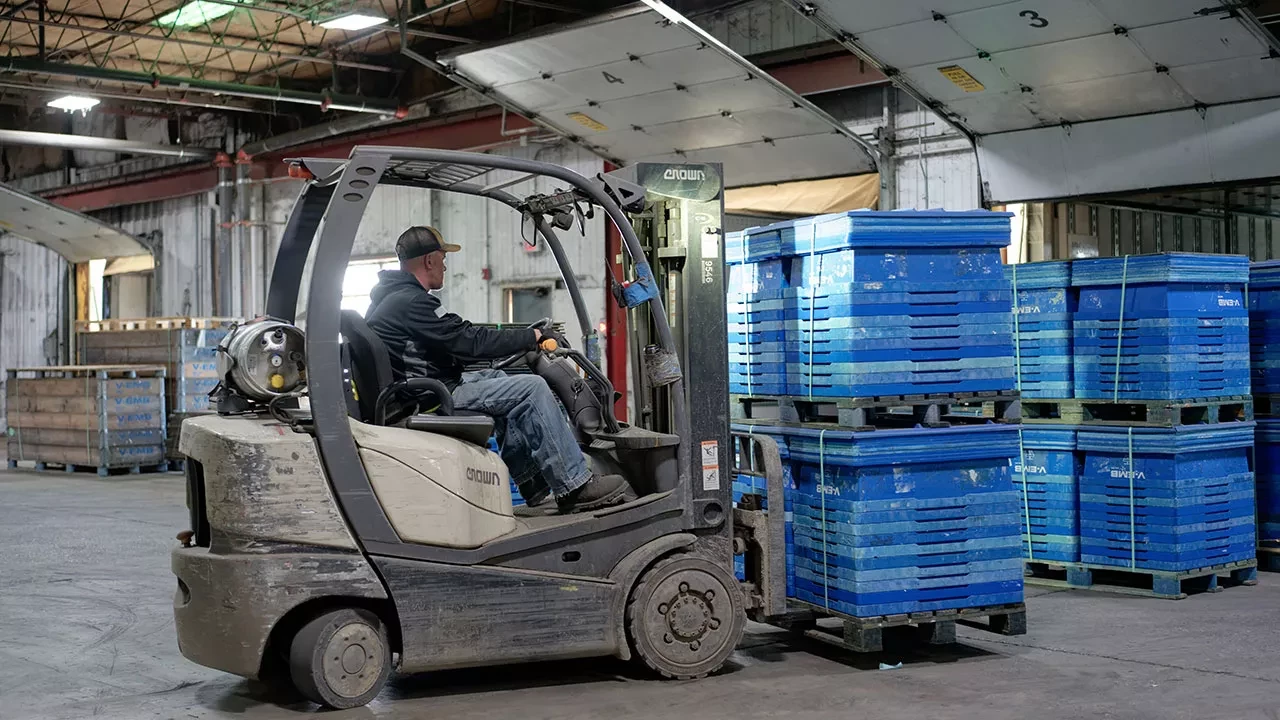 Warehouse worker operating forklift moving pallet containers in distribution facility Image